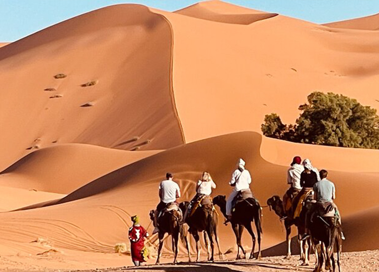 Camel Trekking Desert Morocco