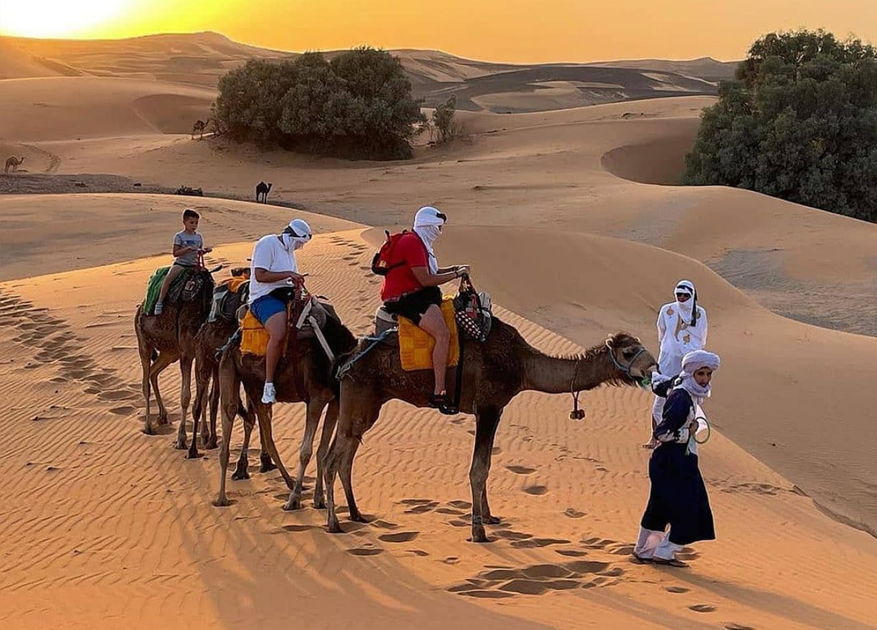 Camel Trekking