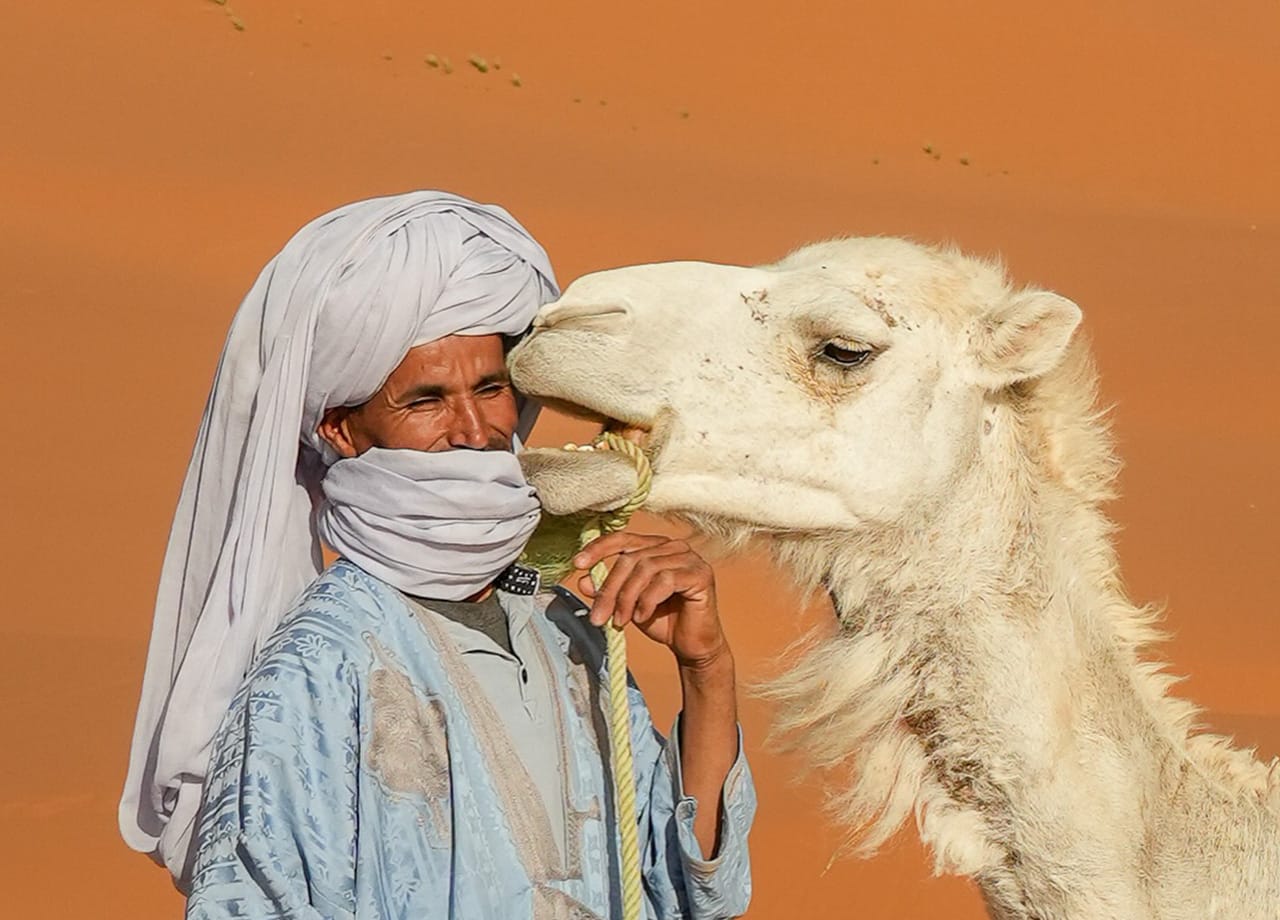 Camel Trekking Desert Morocco