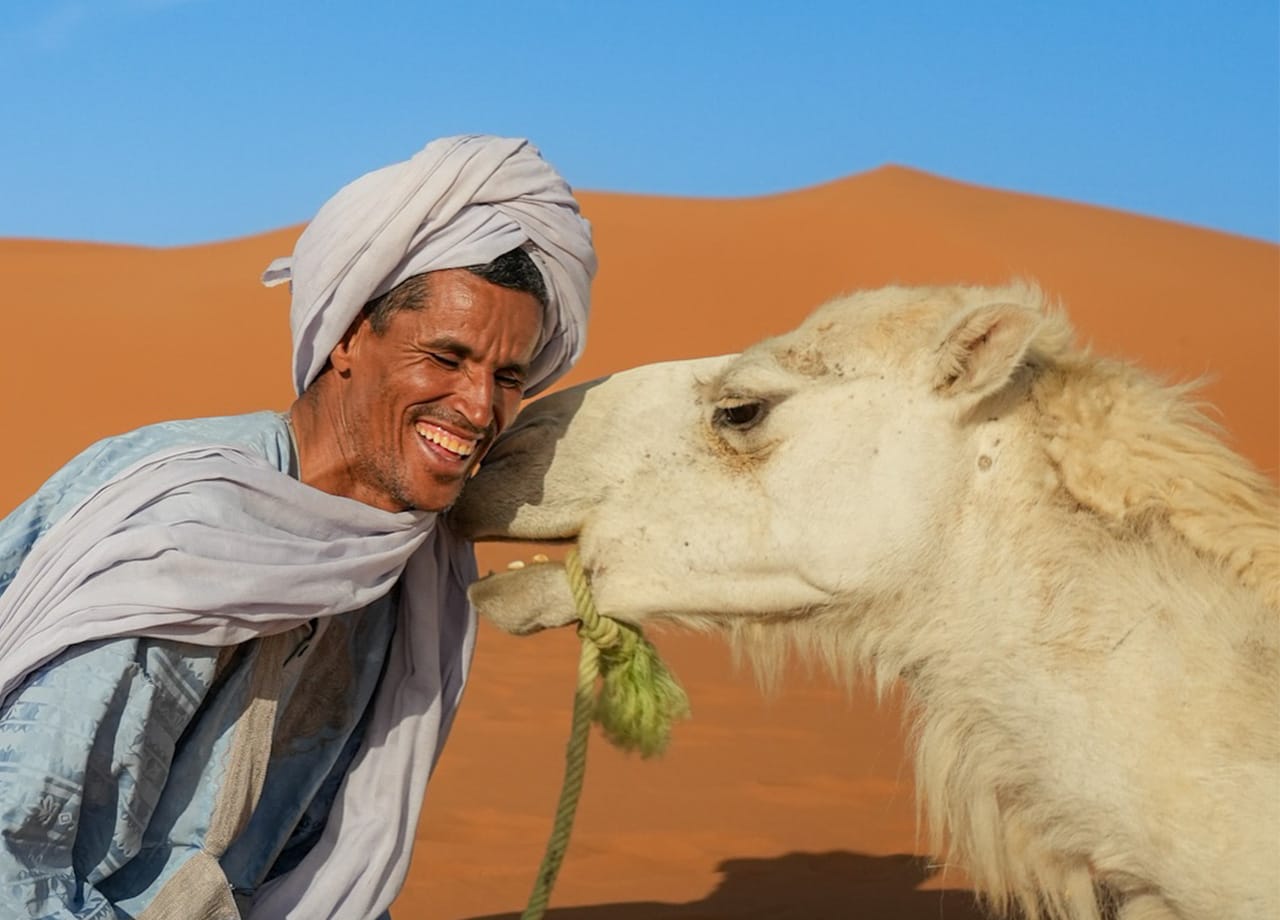 Camel Trekking Desert Morocco