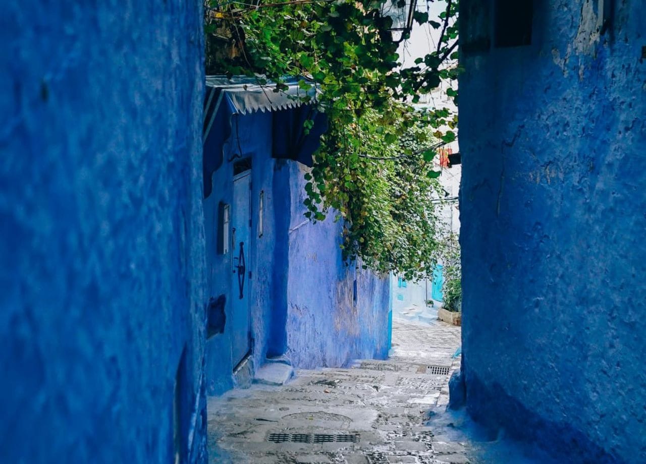 Explore Marrakech Trips (14)