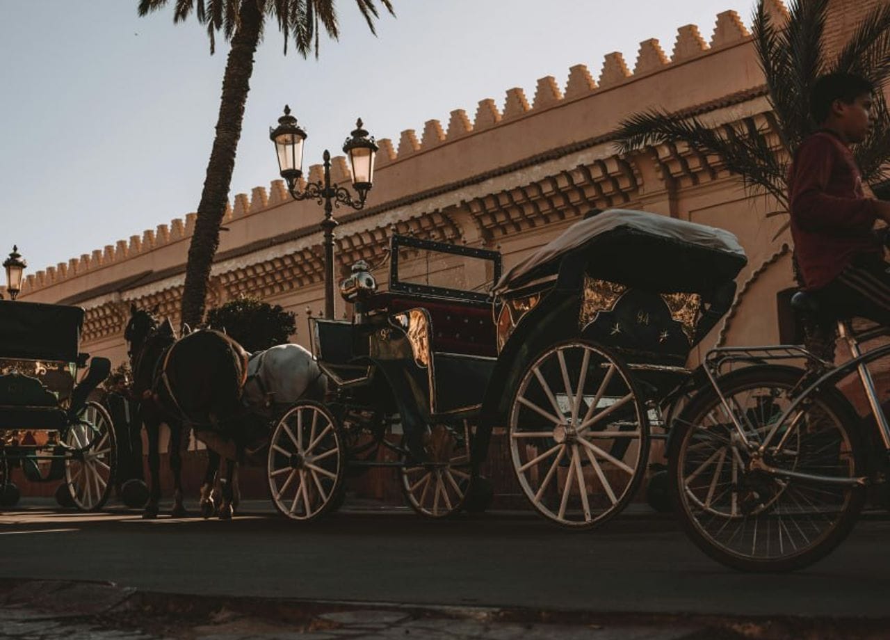 Explore Marrakech Trips (33)