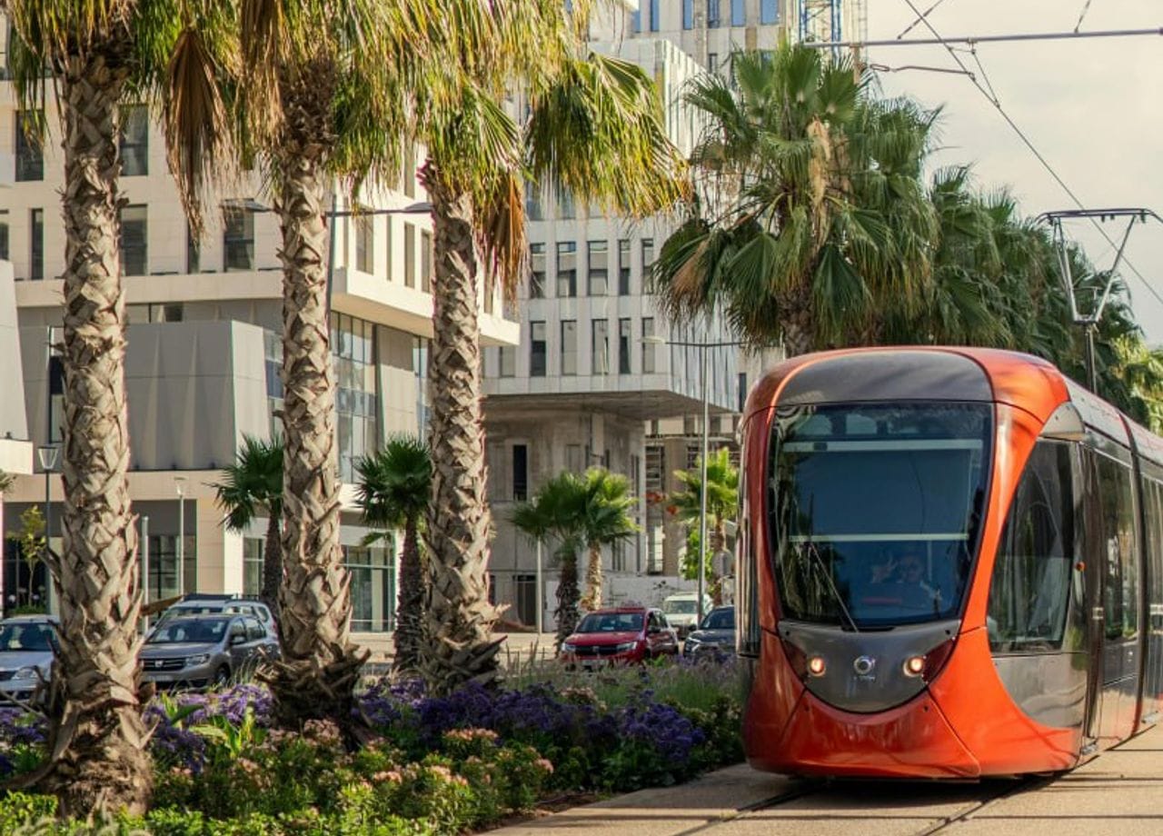 Explore Marrakech Trips (4)