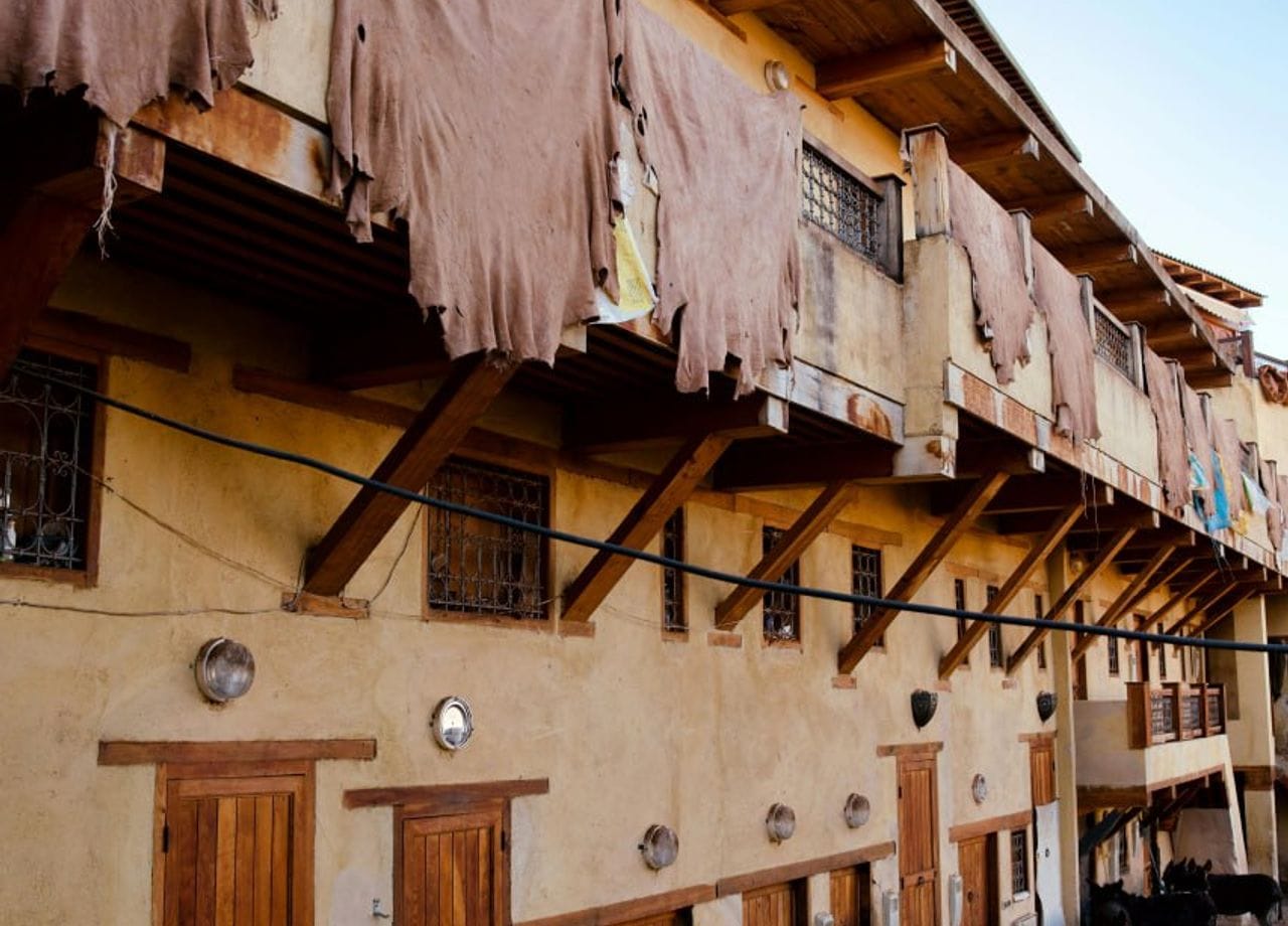 Explore Marrakech Trips (69)